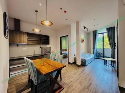 Apartment for rent, 2 bedrooms, Nguyễn Sáng, Sơn Trà, Đà Nẵng - Thumbnail 3