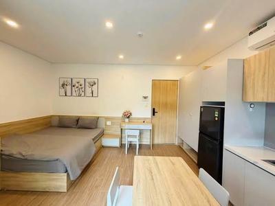 Studio for rent, 1 bedroom, Giang Châu 1, Ngũ Hành Sơn, Đà Nẵng - Thumbnail 2