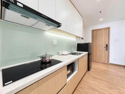 Apartment for rent, Mỹ Đa Tây 1, Ngũ Hành Sơn, Đà Nẵng - Thumbnail 3
