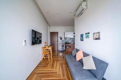 Cho thuê căn hộ, 45m², Phó Đức Chính, Sơn Trà, Đà Nẵng - Thumbnail 2