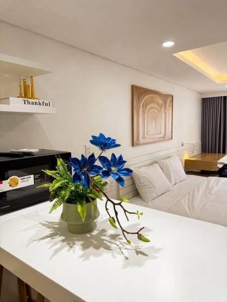 Cho thuê studio, 1 phòng ngủ, Mỹ Đa Đông 12, Ngũ Hành Sơn, Đà Nẵng - Photo 2