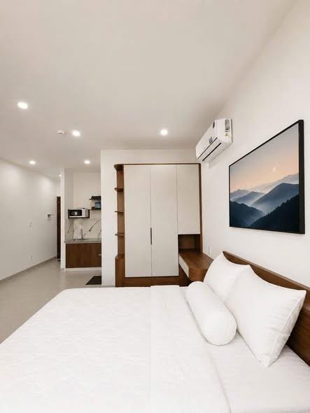 Studio for rent, 1 bedroom, Nam Thọ 2, Sơn Trà, Đà Nẵng - Photo 3