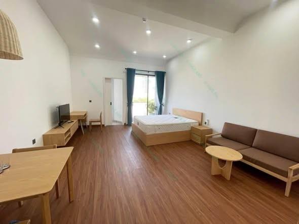 Apartment for rent, Trương Quốc Dụng, Sơn Trà, Đà Nẵng - Photo 2