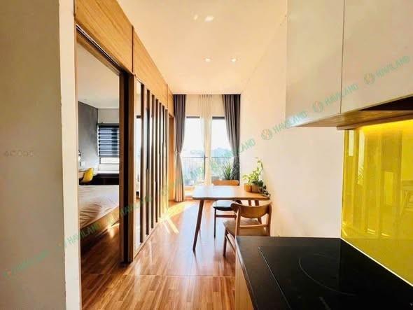 Apartment for rent, 1 bedroom, Diên Hồng, Hòa Xuân, Đà Nẵng - Photo 3