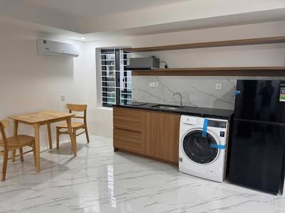 Apartment for rent, Đinh Tiên Hoàng, Hải Châu, Đà Nẵng - Thumbnail 1