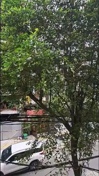 Cho thuê studio, 1 phòng ngủ, An Mỹ 8, Ngũ Hành Sơn, Đà Nẵng - Thumbnail 1
