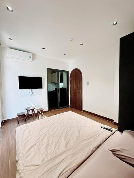 Cho thuê căn hộ, Phan Kế Bính, Hải Châu, Đà Nẵng - Photo 2