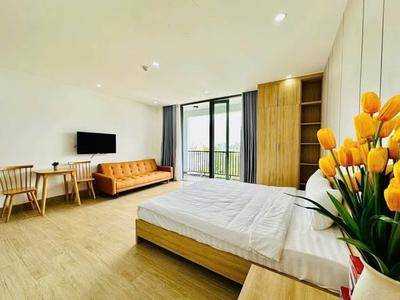 Cho thuê studio, 1 phòng ngủ, 45m², Phước Trường 1, An Hải, Đà Nẵng - An Hải, Đà Nẵng