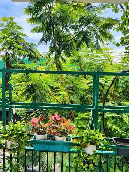 Cho thuê căn hộ, 1 phòng ngủ, Lê Quang Đạo, Ngũ Hành Sơn, Đà Nẵng - Photo 2