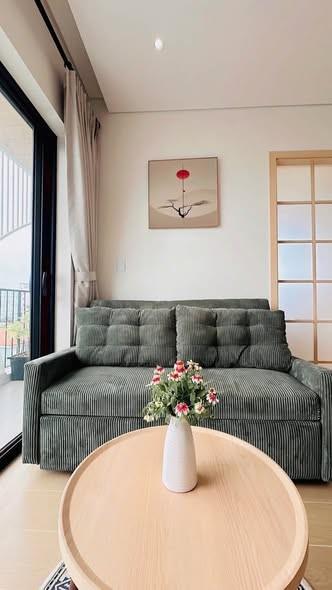 Apartment for rent, Nguyễn Hữu Hào, Ngũ Hành Sơn, Đà Nẵng - Photo 5