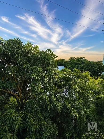 Apartment for rent, An Cư, An Hải, Đà Nẵng - Photo 3