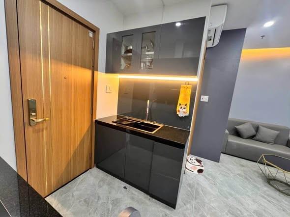 Apartment for rent, Lê Thanh Nghị, Hòa Cường, Đà Nẵng - Photo 5