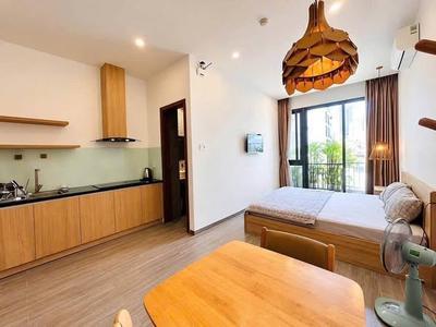 Cho thuê studio, 1 phòng ngủ, Lê Ninh, An Hải, Đà Nẵng - Thumbnail 2