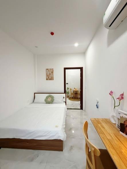 Cho thuê căn hộ, Đa Mặn Đông 1, Ngũ Hành Sơn, Đà Nẵng - Photo 3