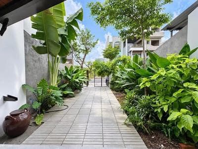 Cho thuê nhà riêng, Lê Nổ, Hòa Cường, Đà Nẵng - Thumbnail 1