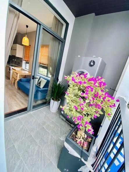 Apartment for rent, Ngũ Hành Sơn, Đà Nẵng - Photo 4