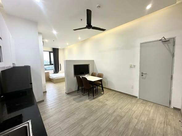 Cho thuê studio, 1 phòng ngủ, Ngũ Hành Sơn, Đà Nẵng - Photo 4