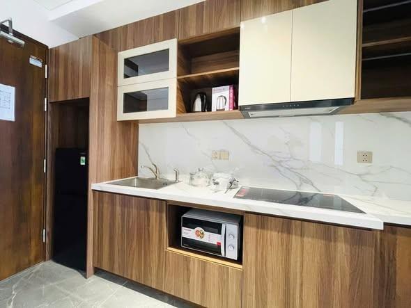 Cho thuê căn hộ, 45m², Hải Châu, Đà Nẵng - Photo 2