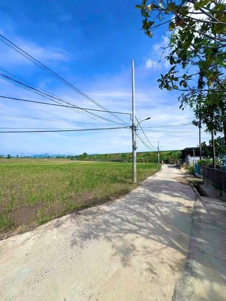 Cho thuê biệt thự, 256m², An Hải, Đà Nẵng - Photo 1