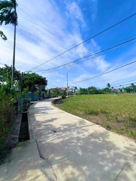 Cho thuê biệt thự, 256m², An Hải, Đà Nẵng - Photo 2