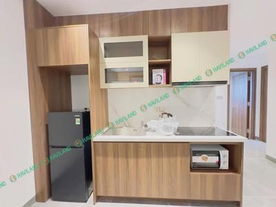 Cho thuê căn hộ, 2 phòng ngủ, Hải Châu, Đà Nẵng - Thumbnail 4