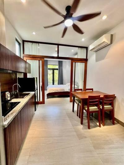 Apartment for rent, Ngũ Hành Sơn, Đà Nẵng - Thumbnail 2