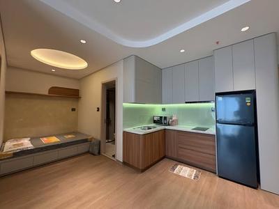 Cho thuê căn hộ, 1 phòng ngủ, 48m², Ngũ Hành Sơn, Đà Nẵng - Thumbnail 3