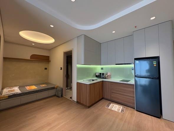 Cho thuê căn hộ, 1 phòng ngủ, 48m², Ngũ Hành Sơn, Đà Nẵng - Photo 3