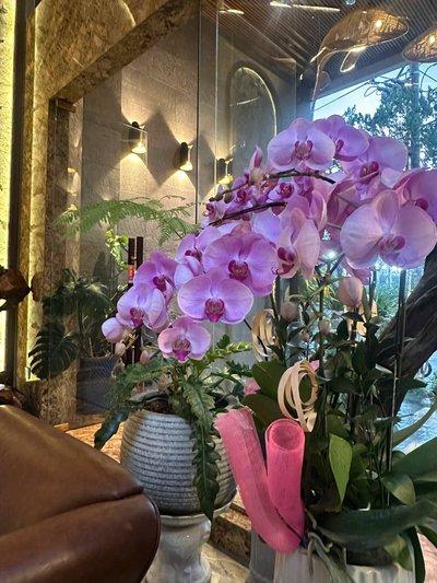 Bán nhà 118m² 14 phòng ngủ tại Sơn Trà, Đà Nẵng - Thumbnail 10