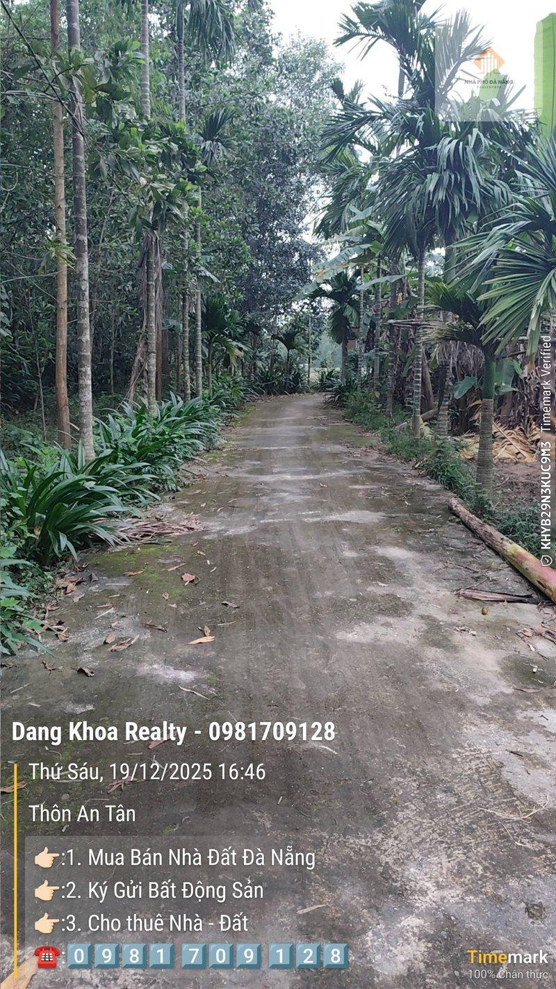 Bán đất nền 800m² tại Hòa Vang, Đà Nẵng - Photo 2